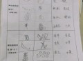  种子植物调查表模板「种子植物调查表模板图片」